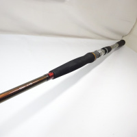 13リーディングネライ H200